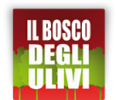 Il Bosco degli Ulivi